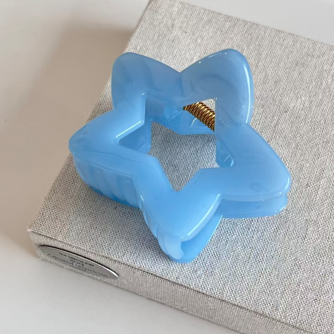 2 stuks elegante blauwe jelly  - Hair Clip Claw Large recensie en prijs