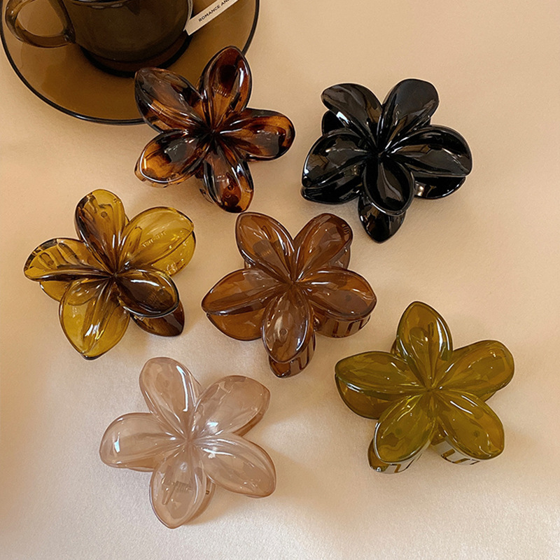 Haarclips voor dames, grote ma - Hair Clip Claw Large recensie en prijs