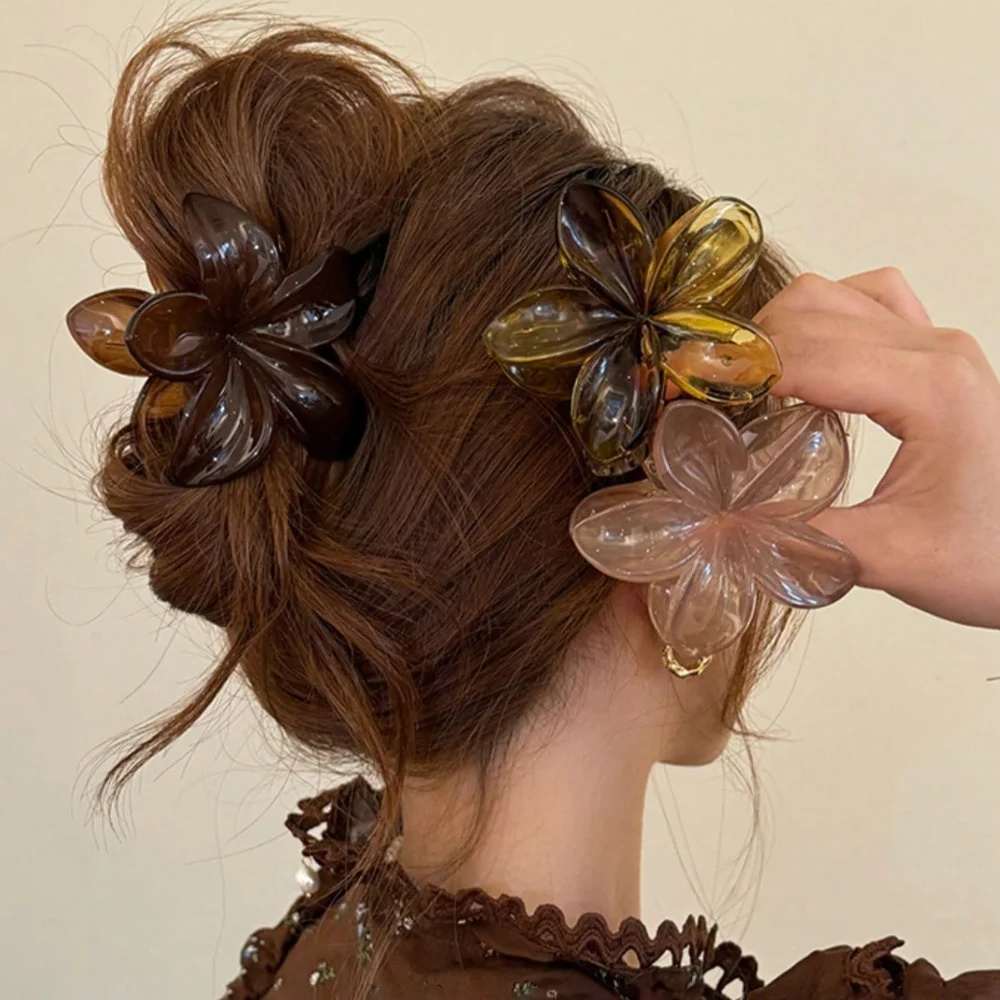 Haarclips voor dames, grote ma - Hair Clip Claw Large recensie en prijs